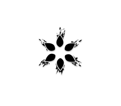 Solaris Tonkopf - Moon Limited Edition – Bild 2