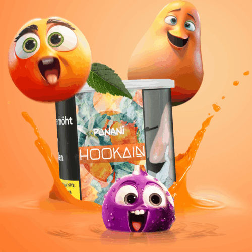 Hookain Shisha Tabak 200g - Punani – Bild 2