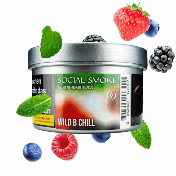 Social Smoke Shisha Tabak 200g - Wild B Chill