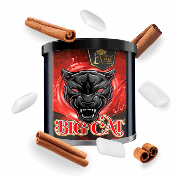 Start Now Shisha Tabak 200g - Big Cat