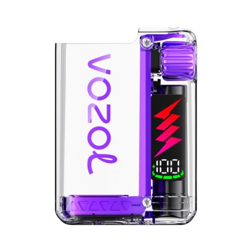 VOZOL Vista Plug Basisgerät - Pink Purple