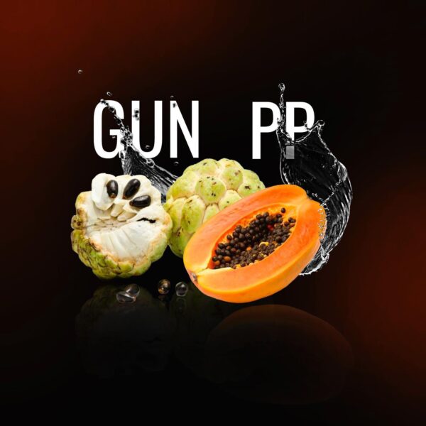 Must H Shisha Tabak 125g - Gunpp