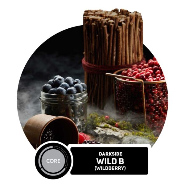 Darkside Core 100g Tabak - Wild B