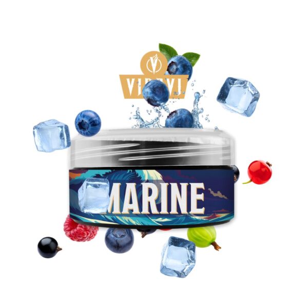 Vidavi Shisha Tabak 100g - Marine